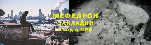 индика Елизово