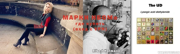 хмурый Дмитриев