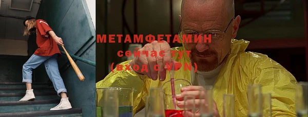 индика Елизово