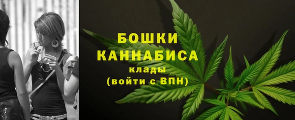 индика Елизово