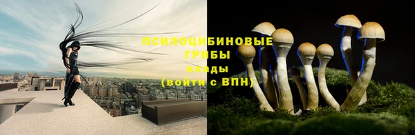 шишки Елабуга