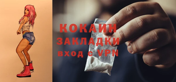 хмурый Дмитриев