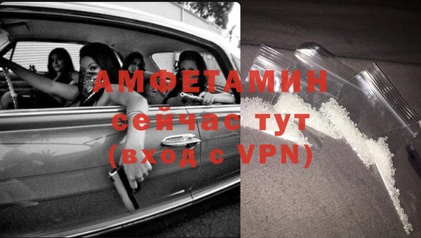 шишки Елабуга