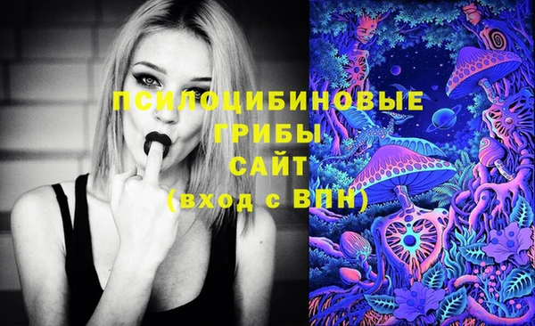 шишки Елабуга