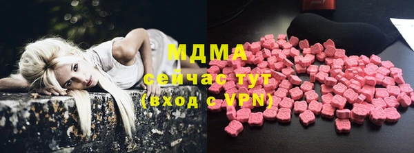 индика Елизово