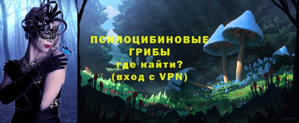 индика Елизово