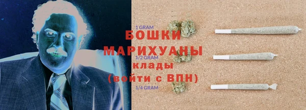 индика Елизово