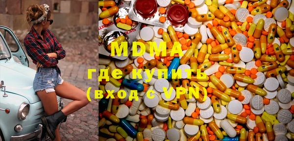 индика Елизово