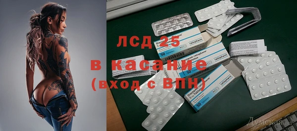 шишки Елабуга